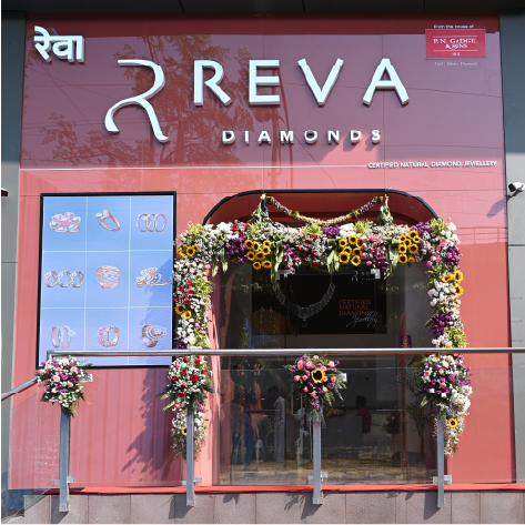 Reva image 4
