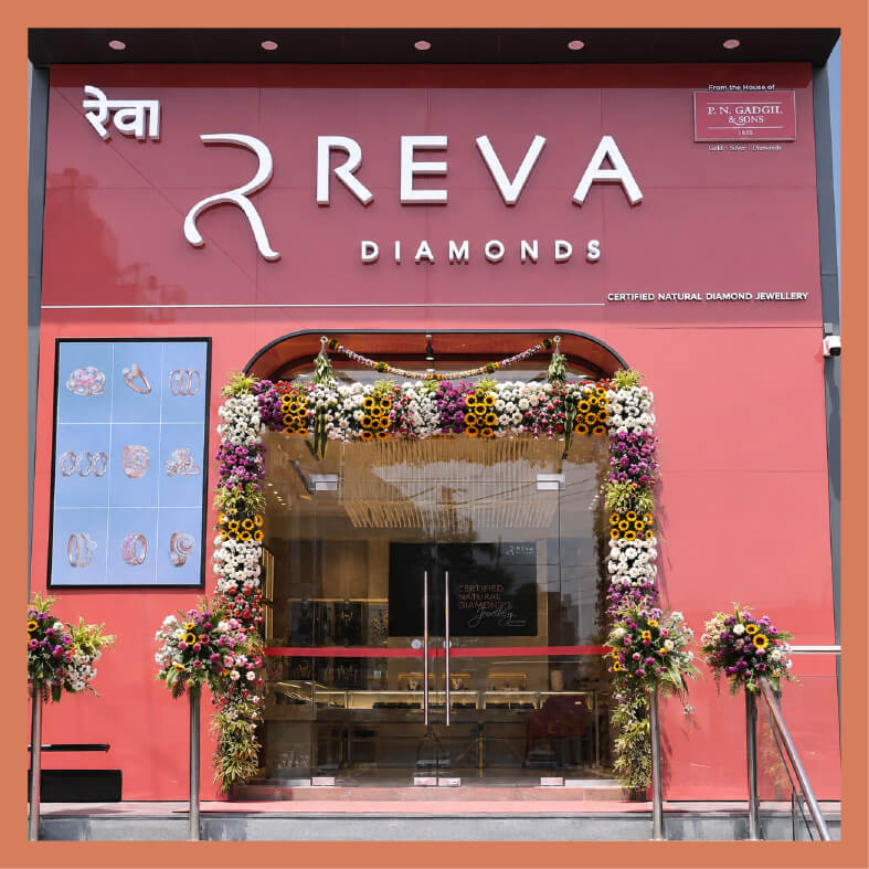 Reva image 3