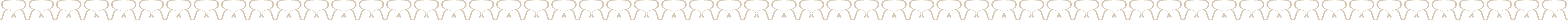 Divider Image Desktop