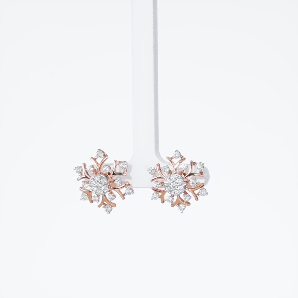 Winter Frost Diamond Earrings